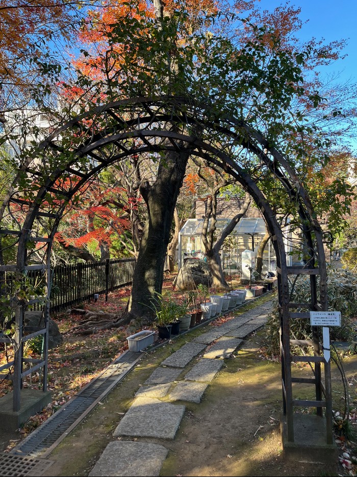 Garden Path and Archway
