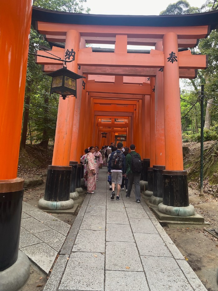 Sembon Torii  - 1000 Gates