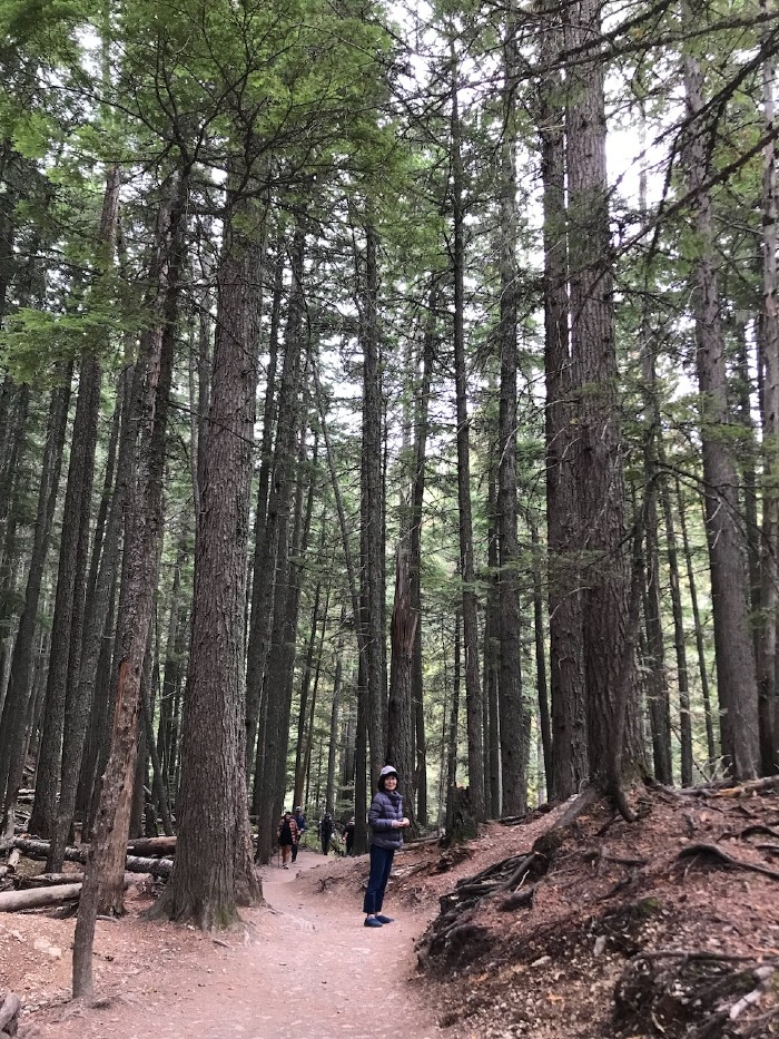 Trail of the Ceders Nature Trailhead
