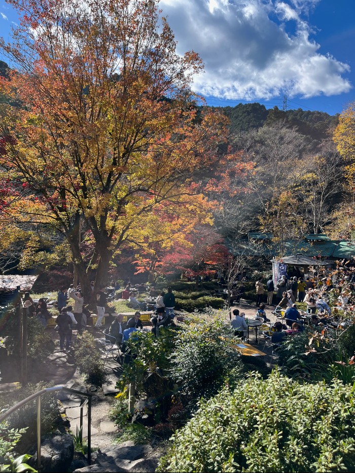 Seiryu Garden Sawanoi-en