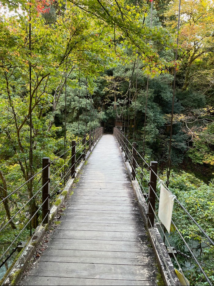 The small bridge at Hikawa Gorge
