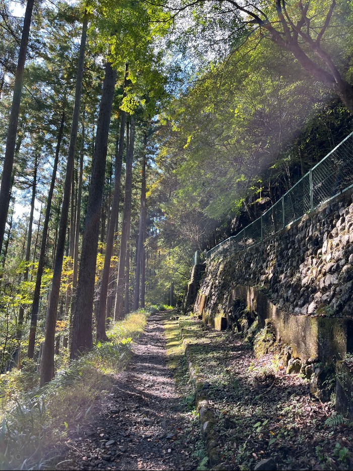 The trail on my circular excursion west of the station