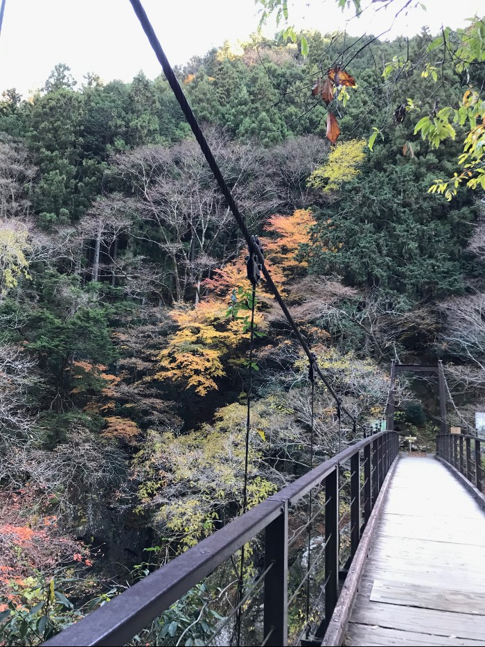 The bridge over the Tama River at Hatonasu Canyon