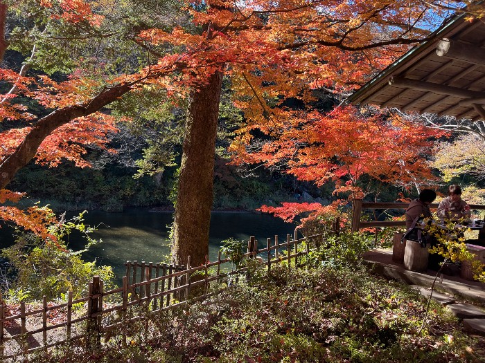 Seiryu Garden Sawanoi-en and the Trail to Mitake Gorge